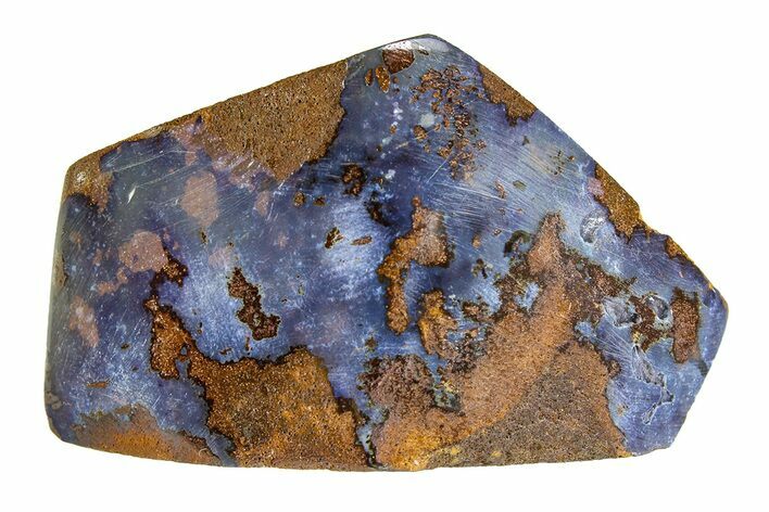 Polished Boulder Opal Specimen - Queensland, Australia #351921